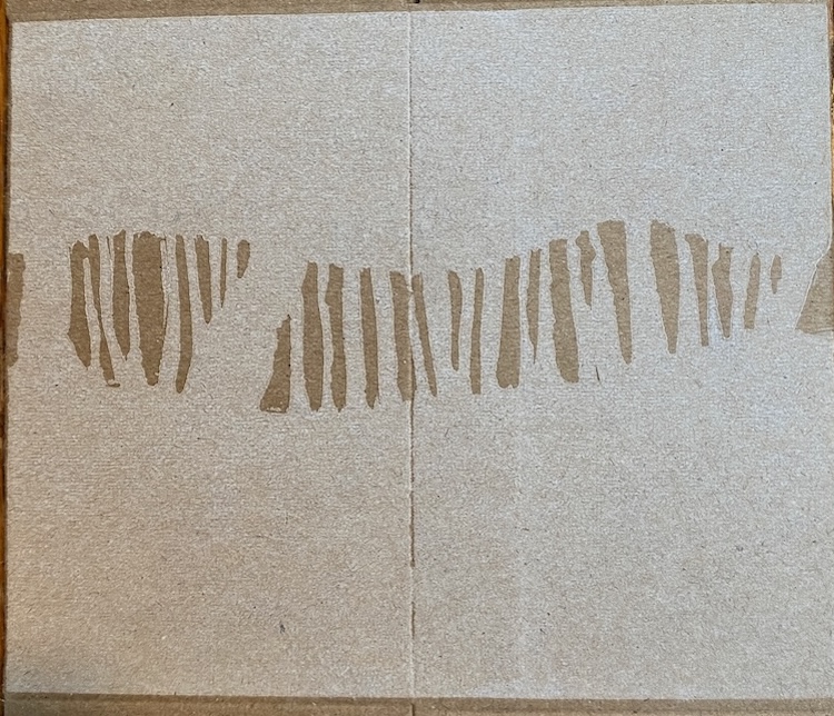 A single cardboard box with the white layer printed on it.