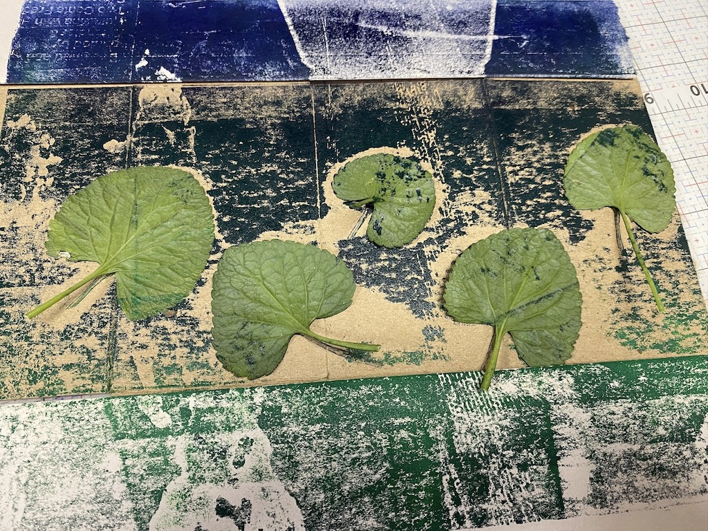 Printing botanicals -- green leaves -- on the fine art press for the first time.