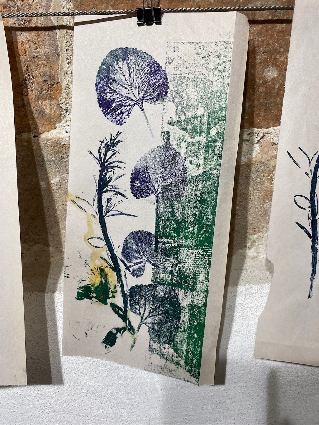 Test print with botanicals.