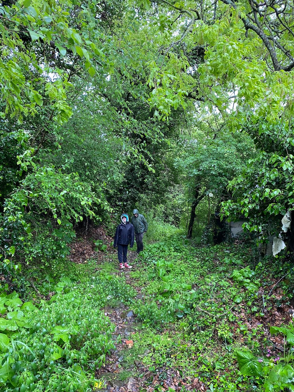 Lali and Franco in a lush green forest.