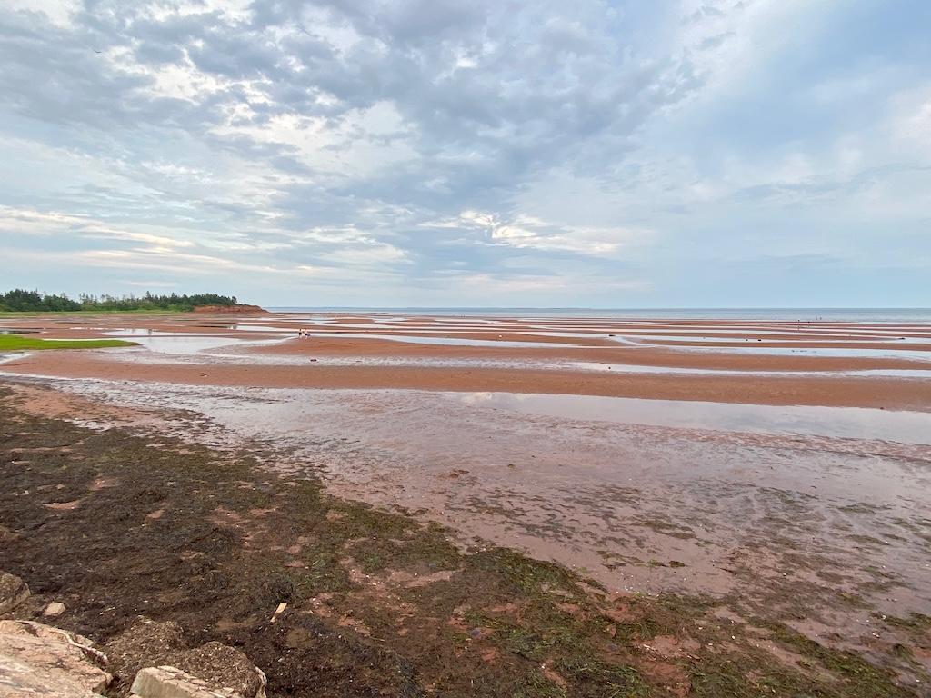 A view of Kinlock Beach at low tide, with tidal pools and cliffs in the distance.