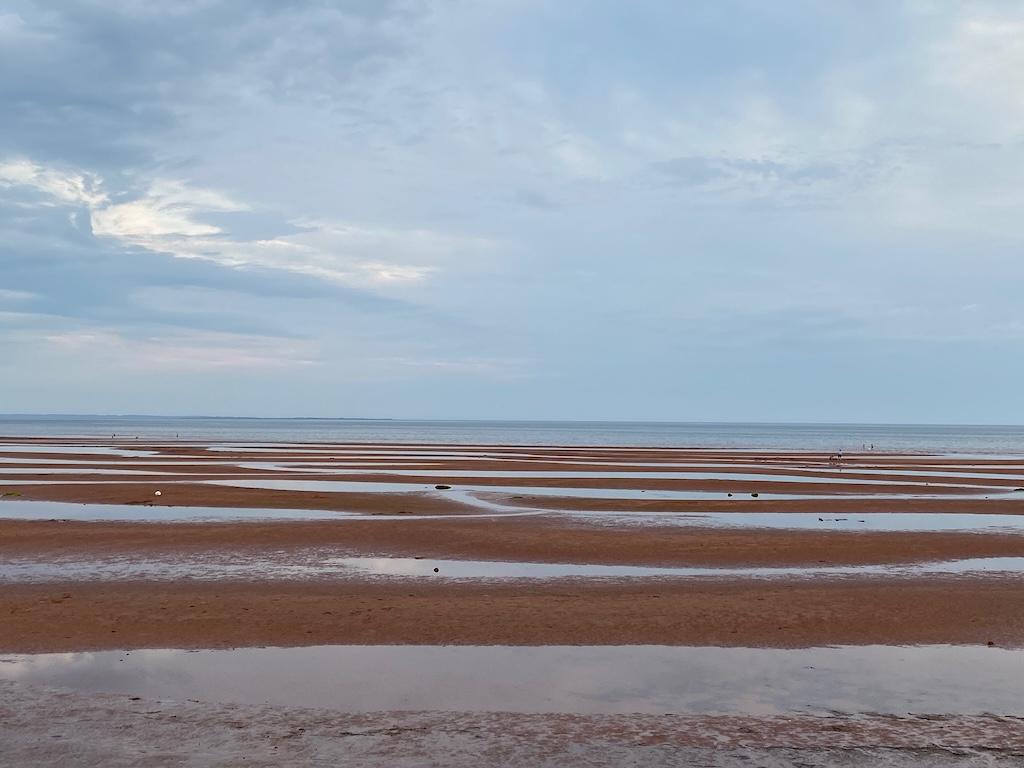 A view of Kinlock Beach, with tidal pools, at low tide.