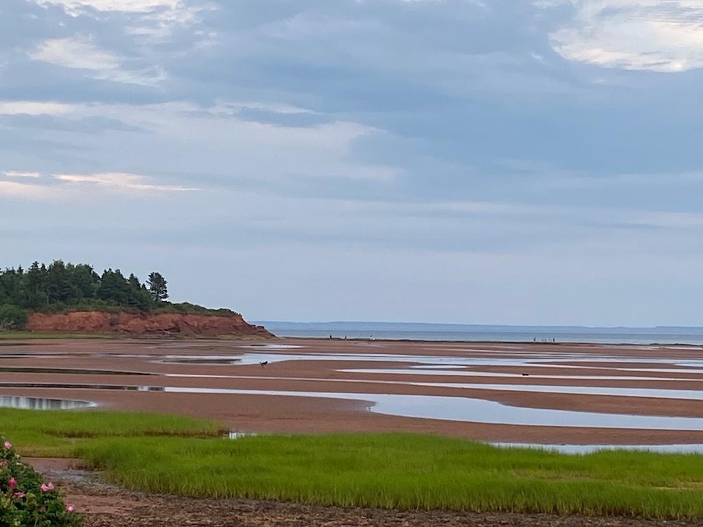 Photo of Kinlock beach, showing grass in the foreground, the beach with tidal pools, and cliffs in the background.