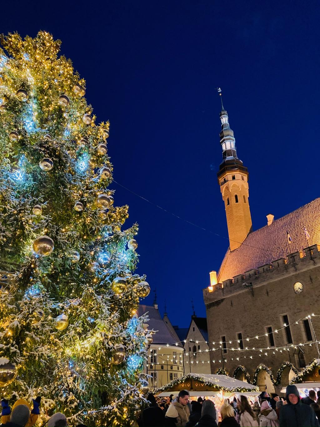 Photo of Christmas tree and church tower in Tallinn.