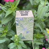 Our September box, printed with a rendering of green zinnia leaves and an unopened zinnia flower bud, sitting in a garden of real zinnias, with the hint of pink zinnia flowers at the top left and lower right.