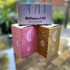 Three printed and assembled boxes, photographed in our back yard.