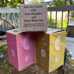 Three printed and assembled boxes, photographed in our back yard.