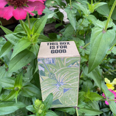 Finished box, set against zinnia blooms in our garden.