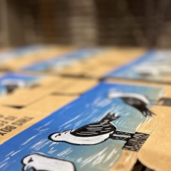 Printed boxes set to dry