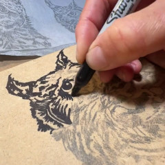 Highlighting the image with a Sharpie