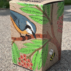 Nuthatches Box