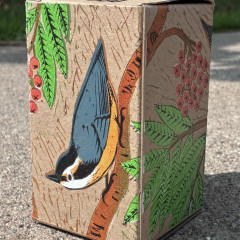 Nuthatches Box