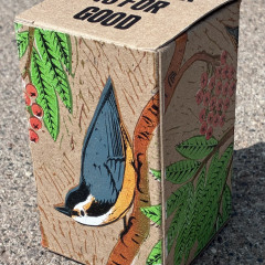 Nuthatches Box