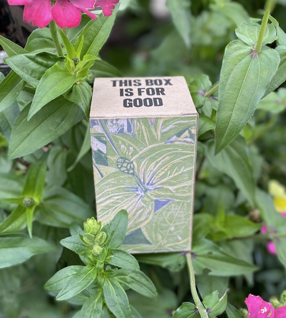 Our September box, printed with a rendering of green zinnia leaves and an unopened zinnia flower bud, sitting in a garden of real zinnias, with the hint of pink zinnia flowers at the top left and lower right.