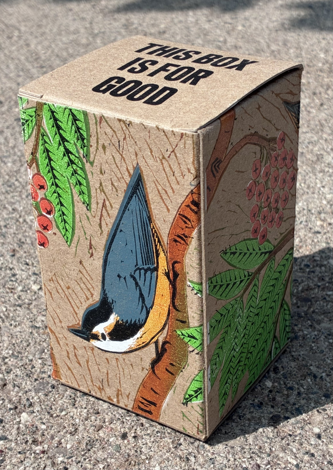 Nuthatches Box