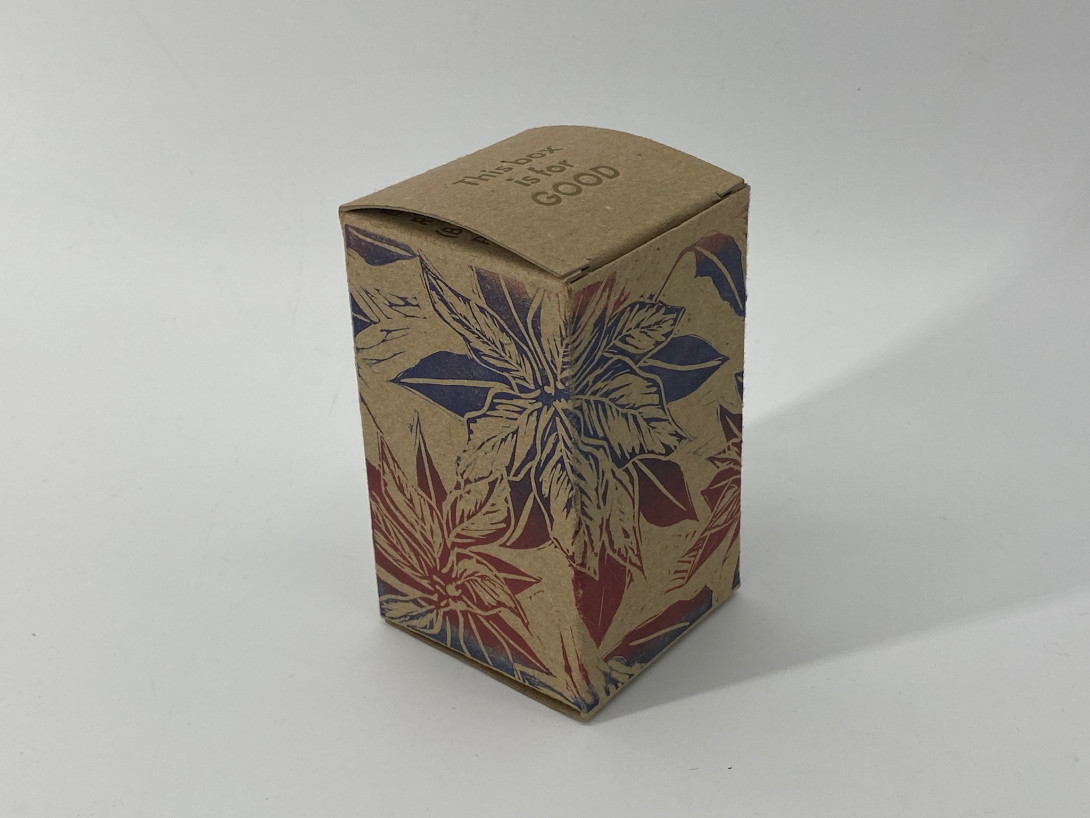 A brown cardboard box against the white background. Printed on the surface of the box, in a gradient of red and blue, are poinsettia leaves