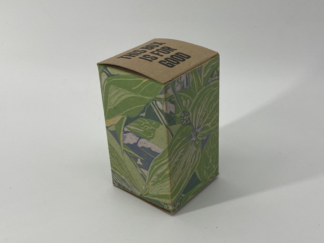 A brown cardboard box on a white background. Printed on the box, and shades of green, are zinnia leaves