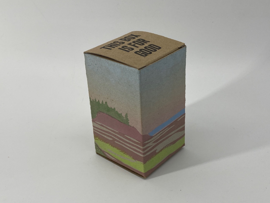A brown cardboard box on a white background. Printed on the box is a scene of the shoreline, with cliffs in the distance