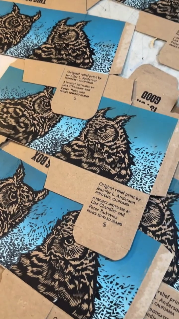 A pile of printed owl boxes: black owl on blue background.